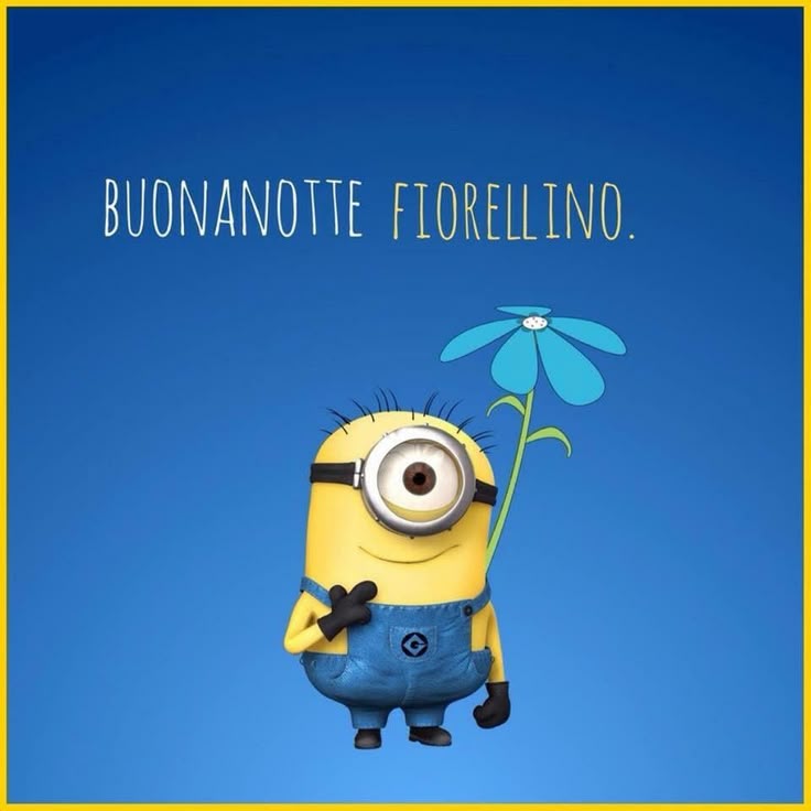 Immagine 1